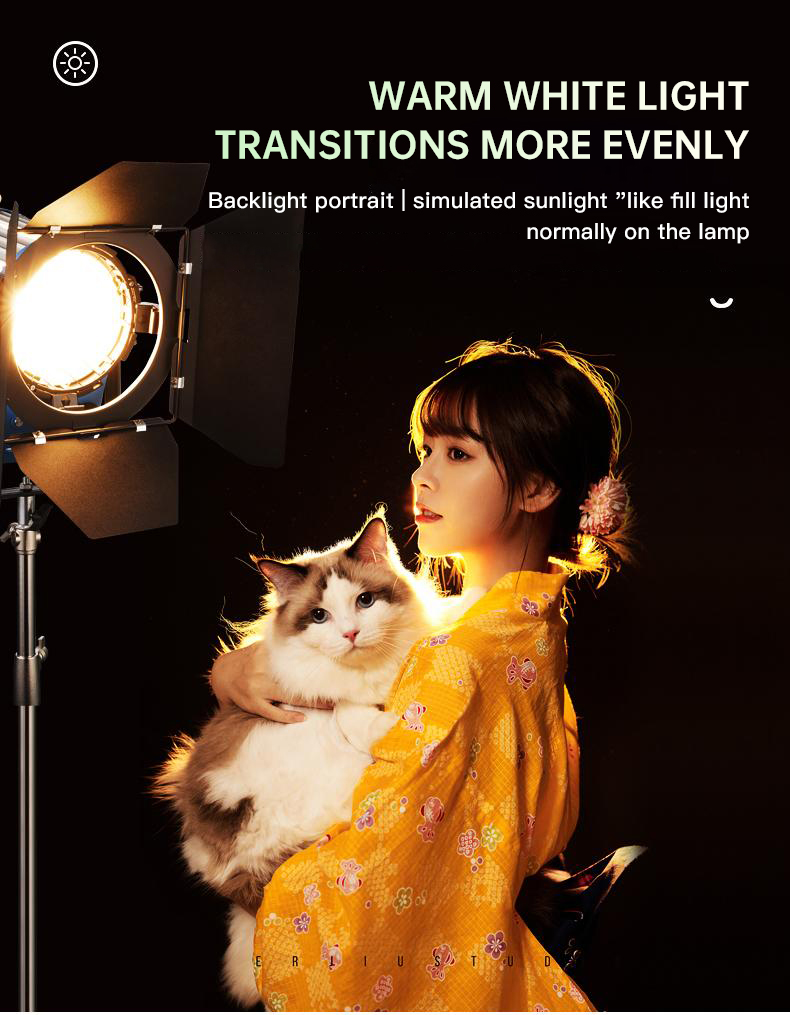 Beiyang 2000W Spotlight Hair L - Photography Lighting For Indoor recension och pris