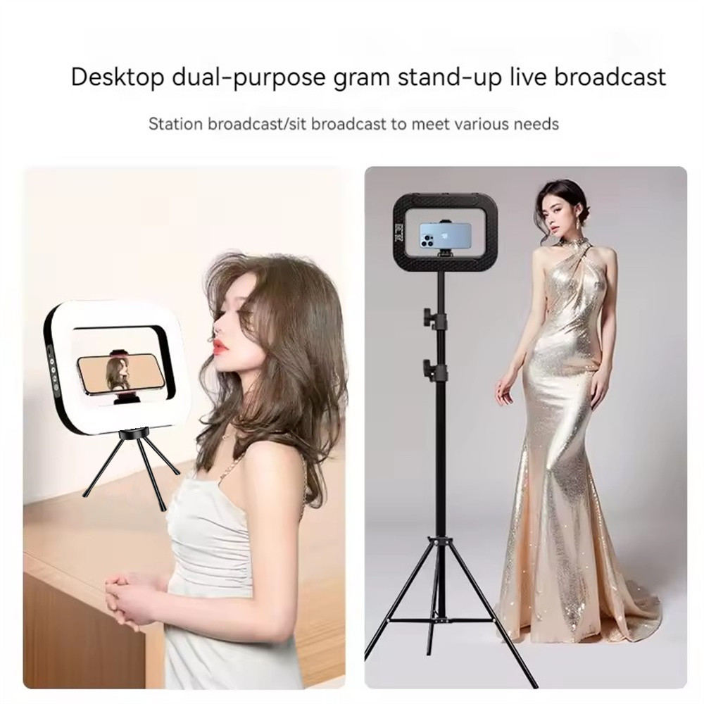 FANGTUOSI hand-held Fill Light - Photography Lighting For Indoor recension och pris