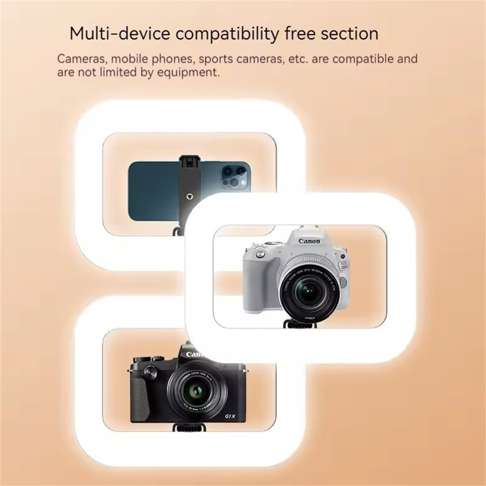 FANGTUOSI hand-held Fill Light - Photography Lighting For Indoor recension och pris