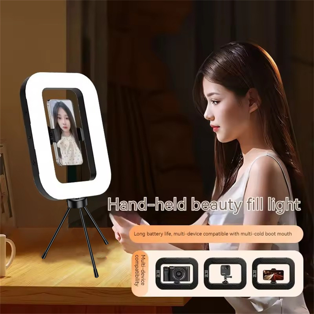 FANGTUOSI hand-held Fill Light - Photography Lighting For Indoor recension och pris