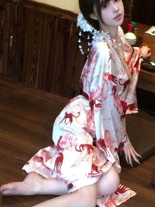 New Chinese Style Sleepwear Ha - Photography Lighting Styles recension och pris