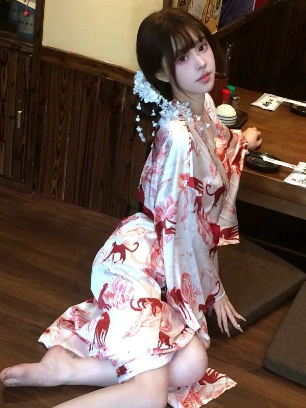New Chinese Style Sleepwear Ha - Photography Lighting Styles recension och pris