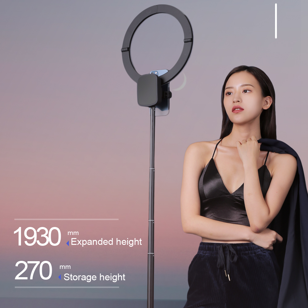 Outdoor Live beauty light,Port - Photography Lighting For Indoor recension och pris