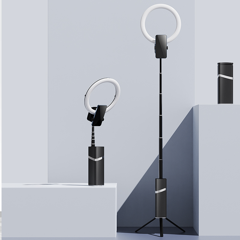 Outdoor Live beauty light,Port - Photography Lighting For Indoor recension och pris