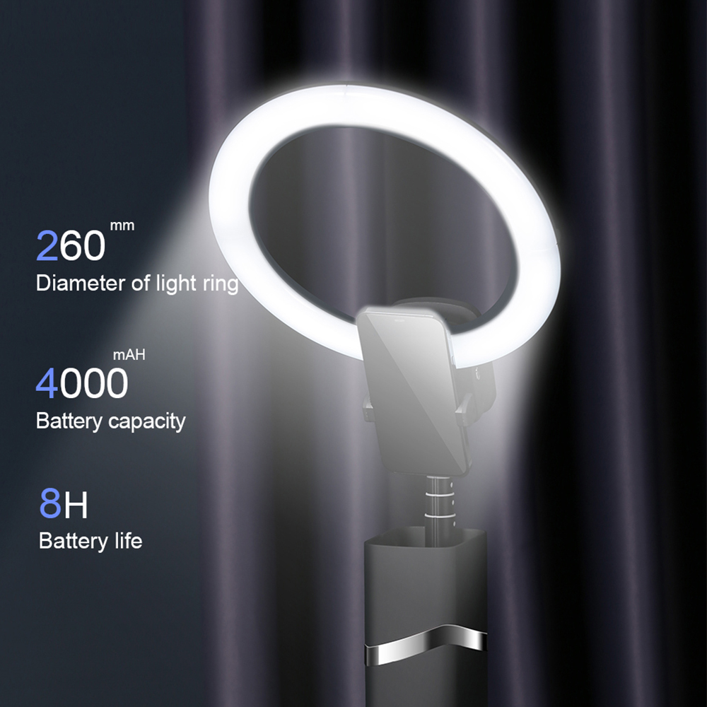 Outdoor Live beauty light,Port - Photography Lighting For Indoor recension och pris